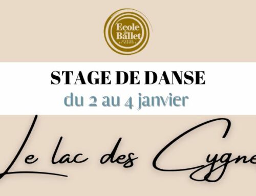 Stage de Noël – Lac des cygnes